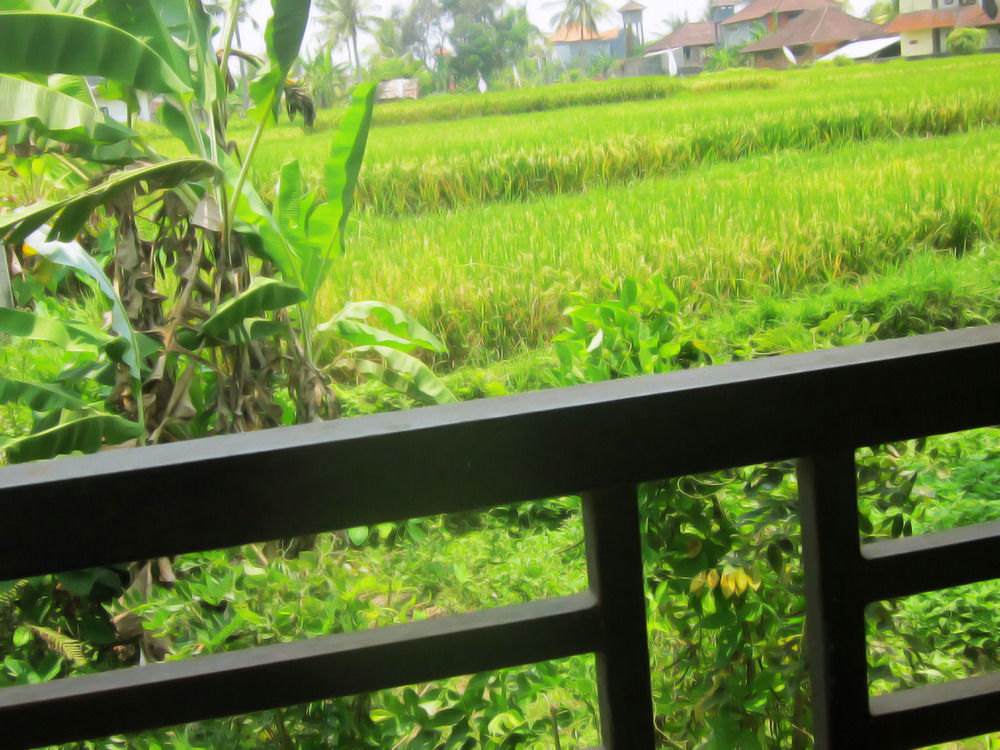 Oyo 1946 Terrace Campuhan Ubud Eksteriør bilde